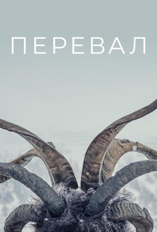Постер сериала «Перевал»