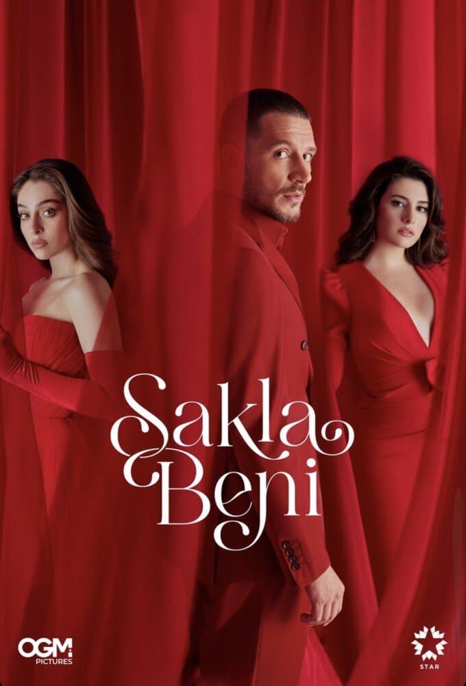 Постер сериала «Спрячь меня»