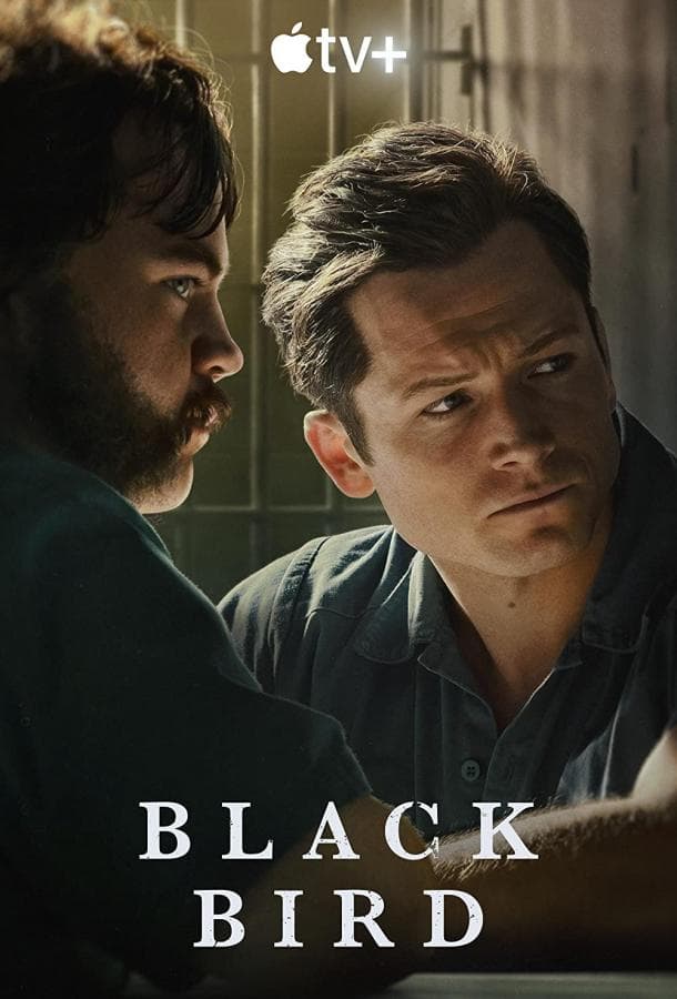 Постер сериала «Чёрная птица»